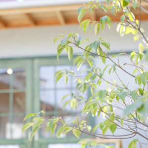 ワンデイショップ再開案内 2021年3月